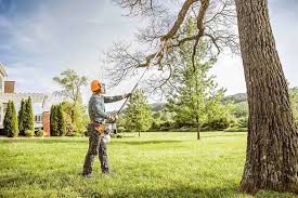 New Cordell, OK Tree Removal and Landscaping Services Company